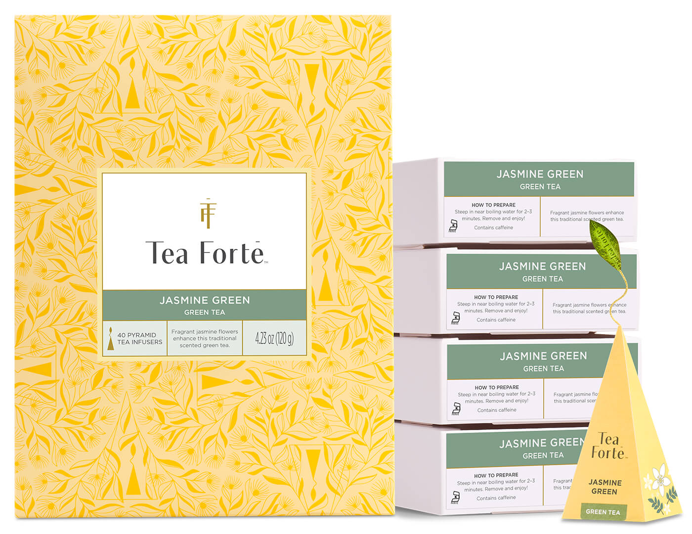  Jasmine Green Event Box40ct, open with infuser