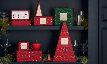 Warming Joy Collection displayed on a dark shelf with evergreen boughs
